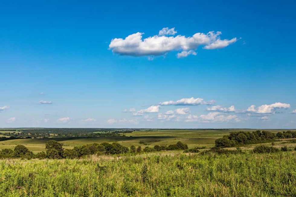 Homes For Sale in McAlester & Eufaula, OK Century 21 Shirley