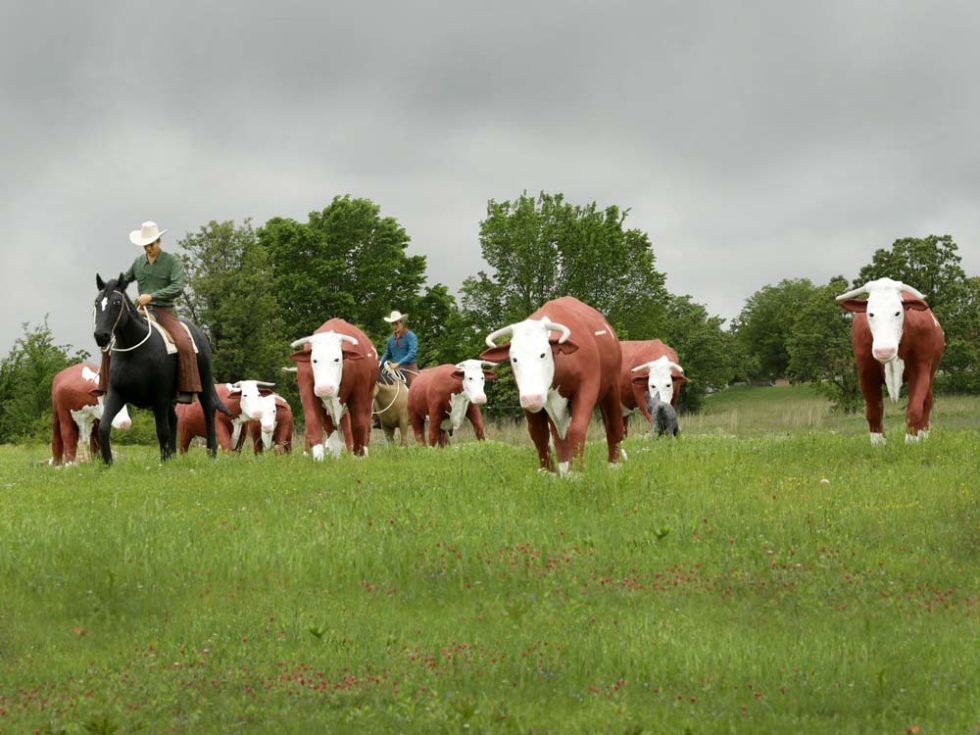 Real Estate Agency in McAlester & Eufaula, OK Century 21 Shirley